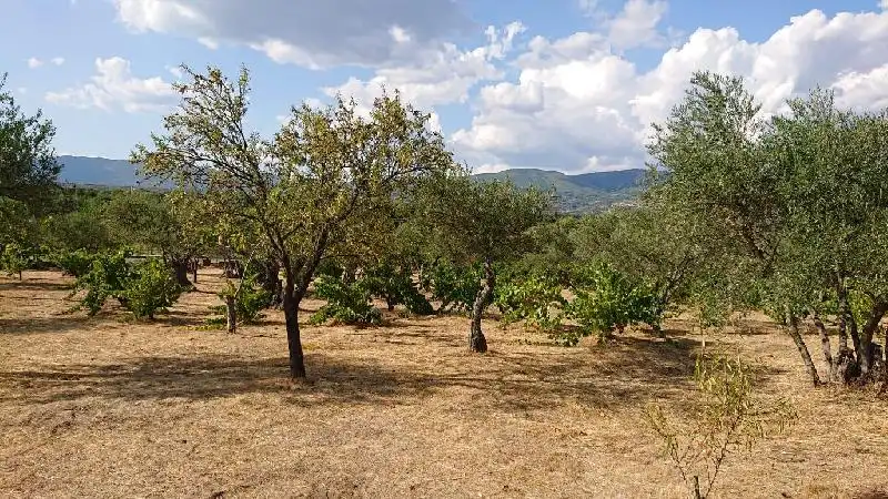 Terreni e lotti in vendita a Tejeda de Tiétar, imagen 10