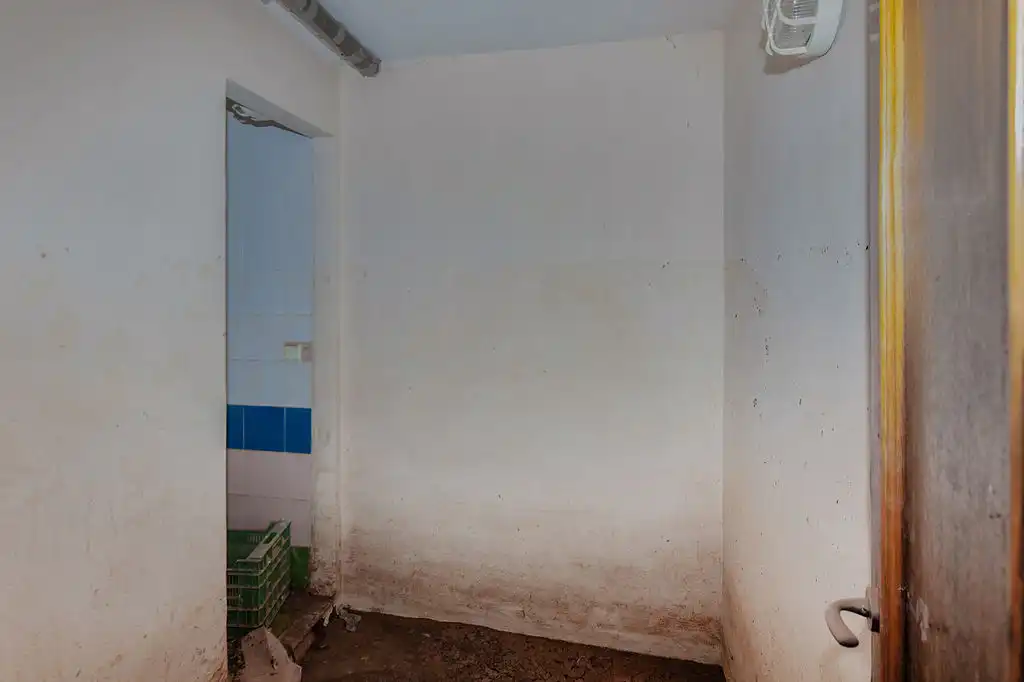 Commercial properties for sale in Alzira