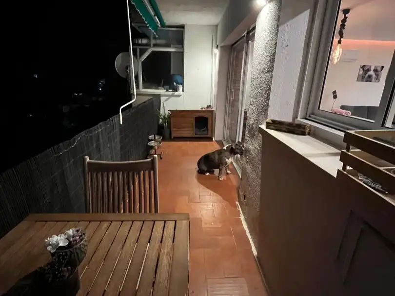 Flat for sale in C/Romania 20, imagen 31