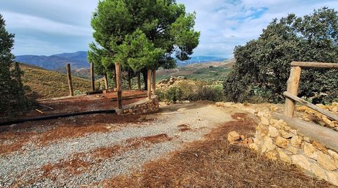 LanjarónFinca Rustica, imatge 3
