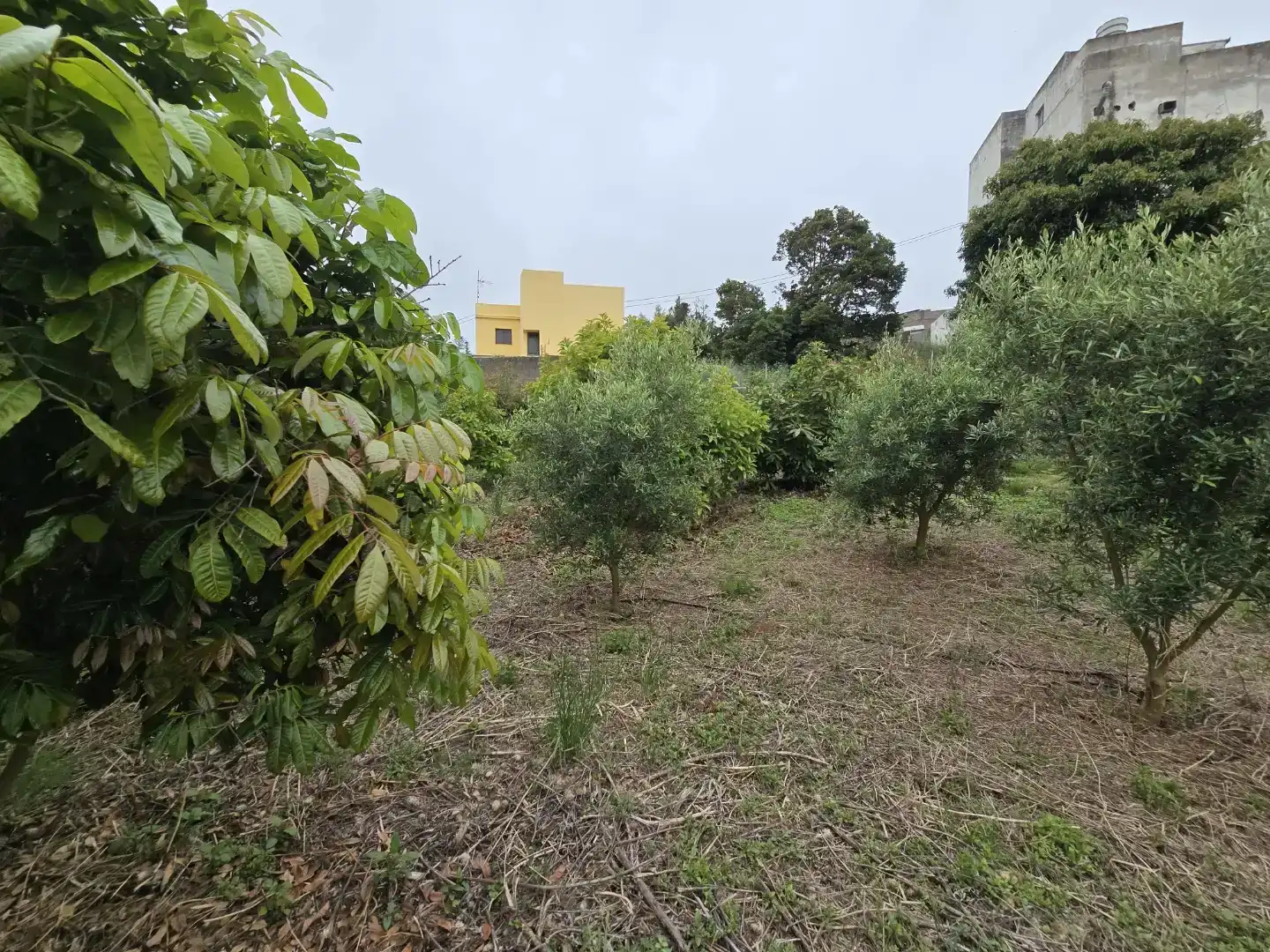 Casa o xalet en venda en Tacoronte amb Balcó