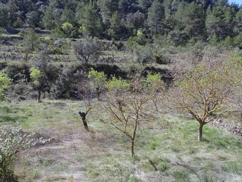 Finca rústica en venta en Beceite
