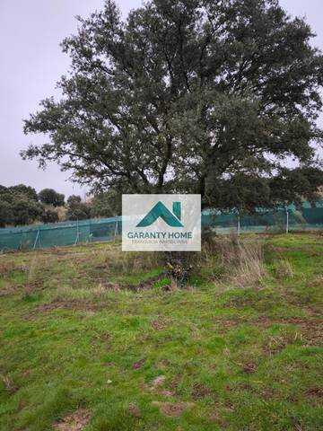 Finca rústica en Venta en Camino Cº Viejo de las Matas en El Cantizal