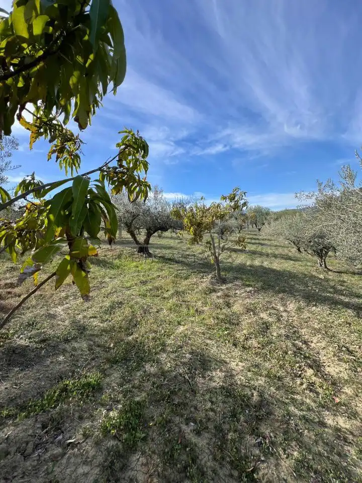 Terreno rustico in vendita a Guaro, imagen 11