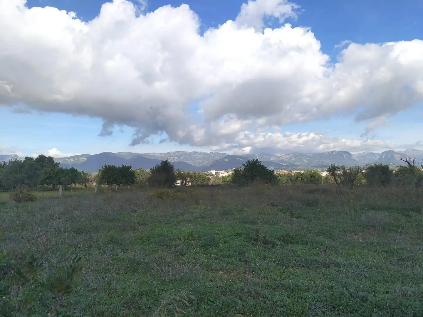 Terreny rústic en venda a Santa María del Camí, imagen 3