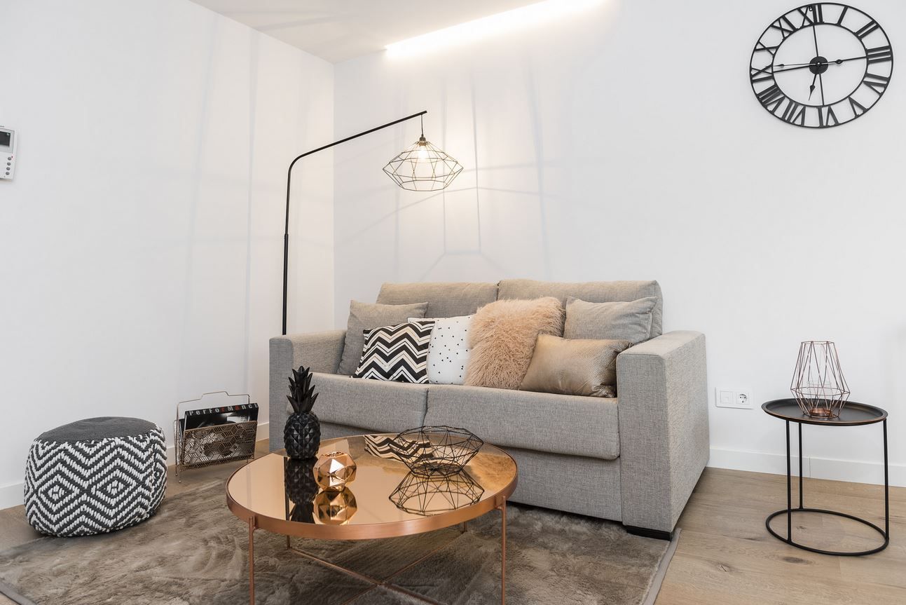 Sala d'estar de Pis de lloguer en Donostia - San Sebastián  amb Aire condicionat, Moblat i Es permeten mascotes