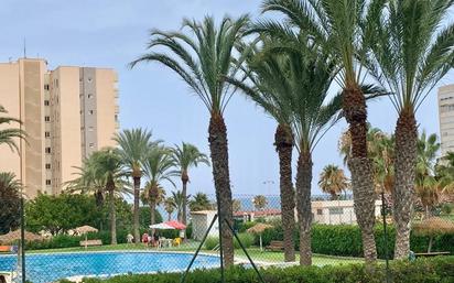 Swimming pool of Apartment for sale in Alicante / Alacant  with Terrace