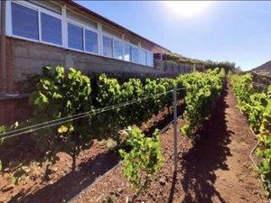 Photo 5 of Premises for sale in Camino las Mercedes, Las Mercedes, San Cristóbal de la Laguna