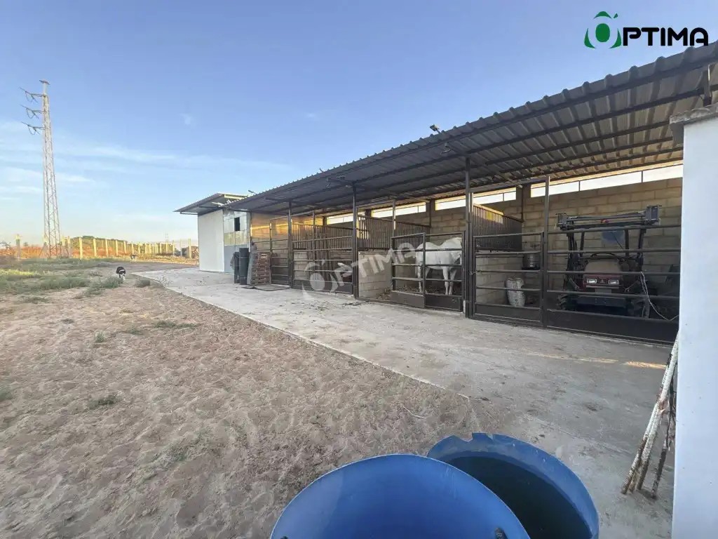 Casa in vendita a Bollullos Par del Condado, imagen 14