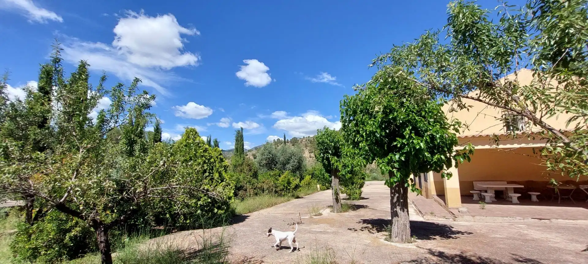 Vista exterior de Finca rústica en venta en Nerpio con Jardín privado, Terraza y Amueblado