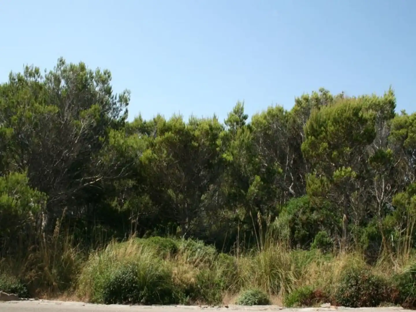Wohnbaugrundstück zum Verkauf in Cala Morell, imagen 2