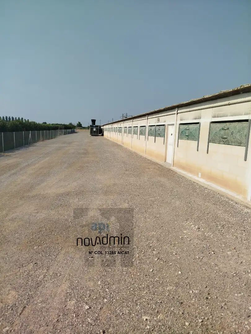 Außenansicht von Fabrikhallen zum Verkauf in El Poal mit Heizung und Alarm