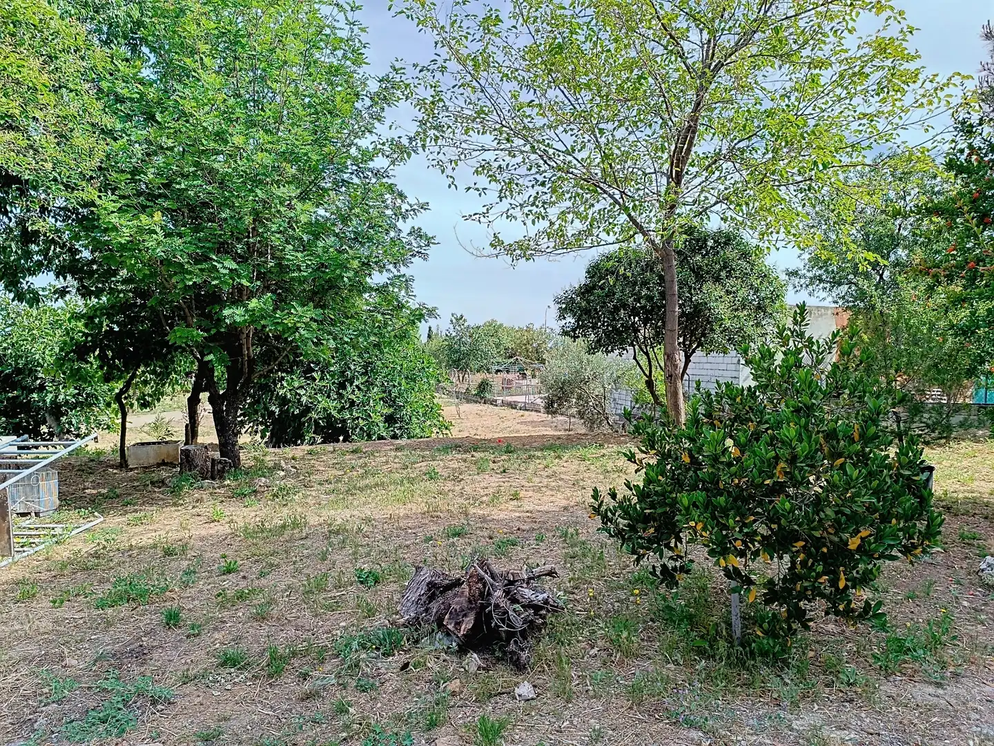 Casa o chalet en venta en Mancha Real con Aire acondicionado, Calefacción y Jardín privado