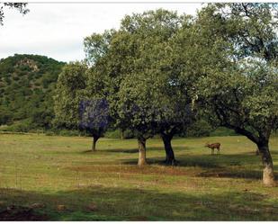 Finca rústica en venda en Casatejada