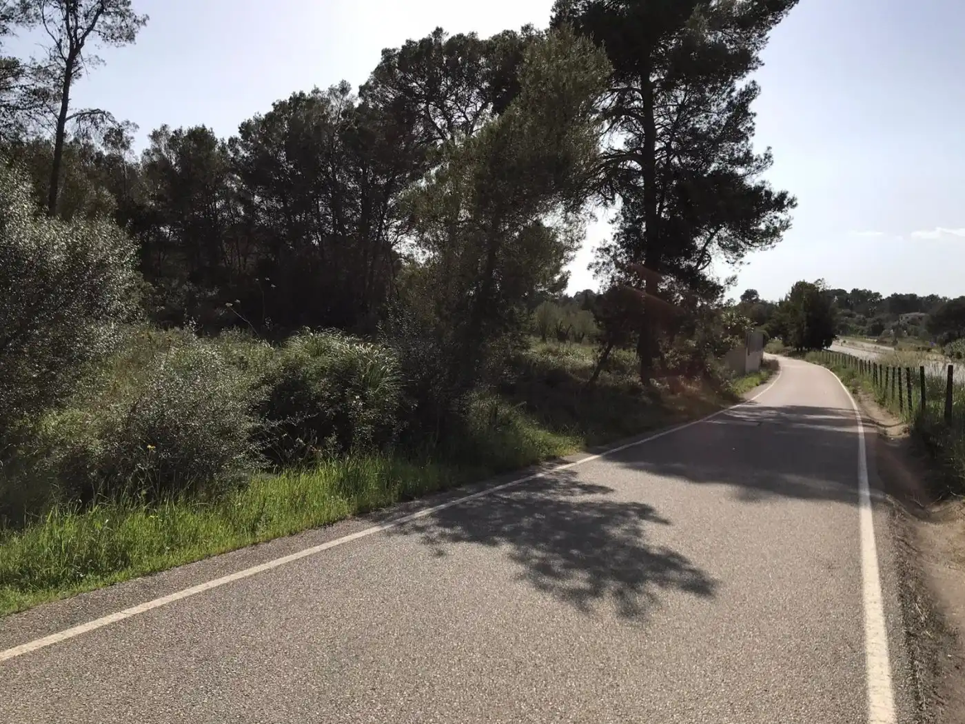 Terrenys i solars en venda a Algaida, imagen 14