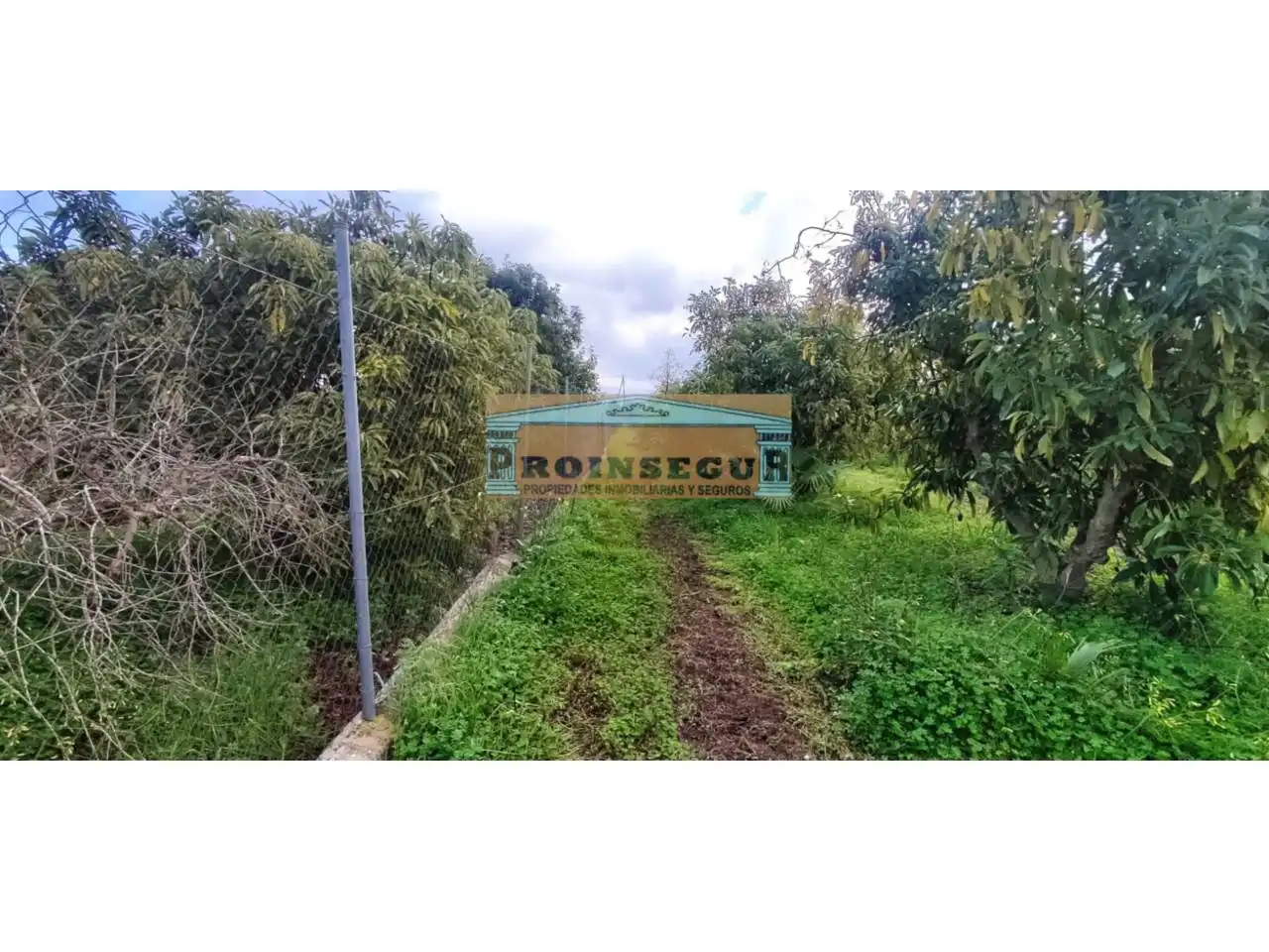 Rural land for sale in Camino Dehesa, imagen 4