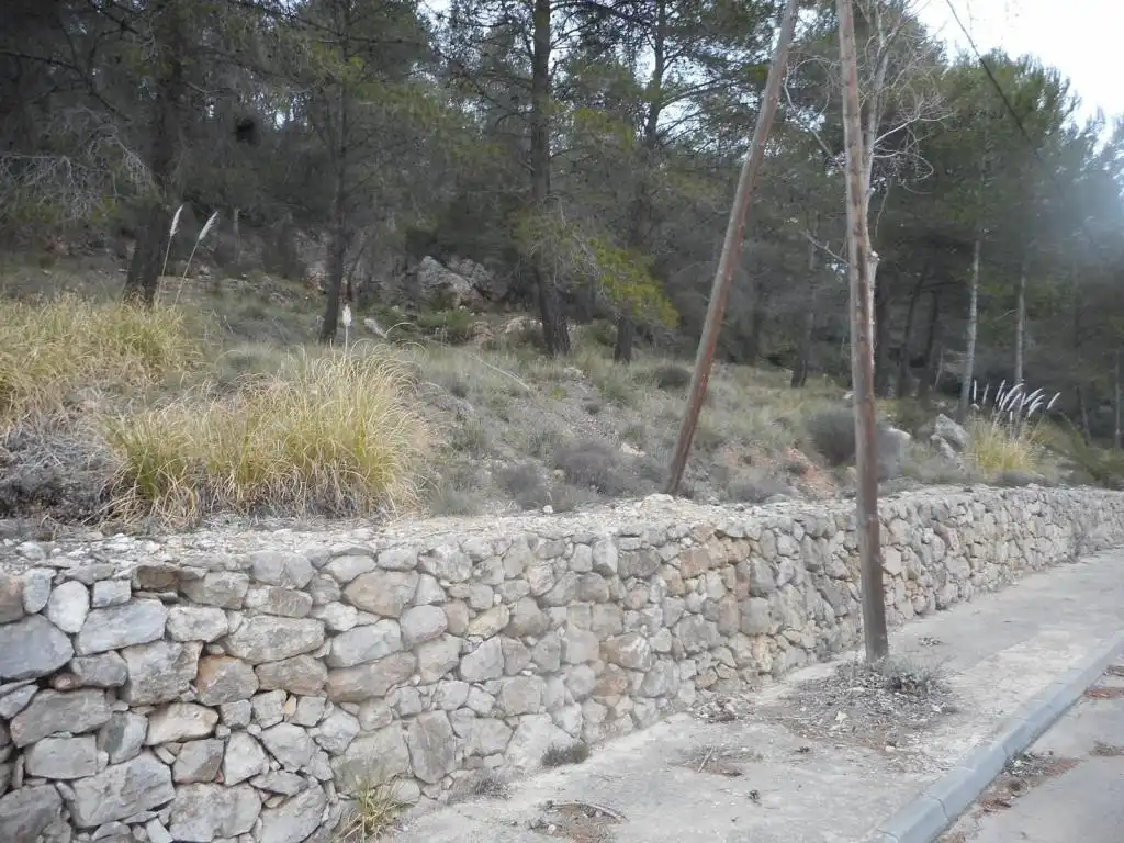 Terreny rústic en venda a ALDEA DE VALLFLOR, imagen 3