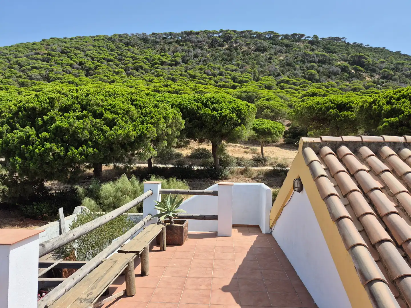 Terrace of Country homes for sale in Barbate  with Terrace