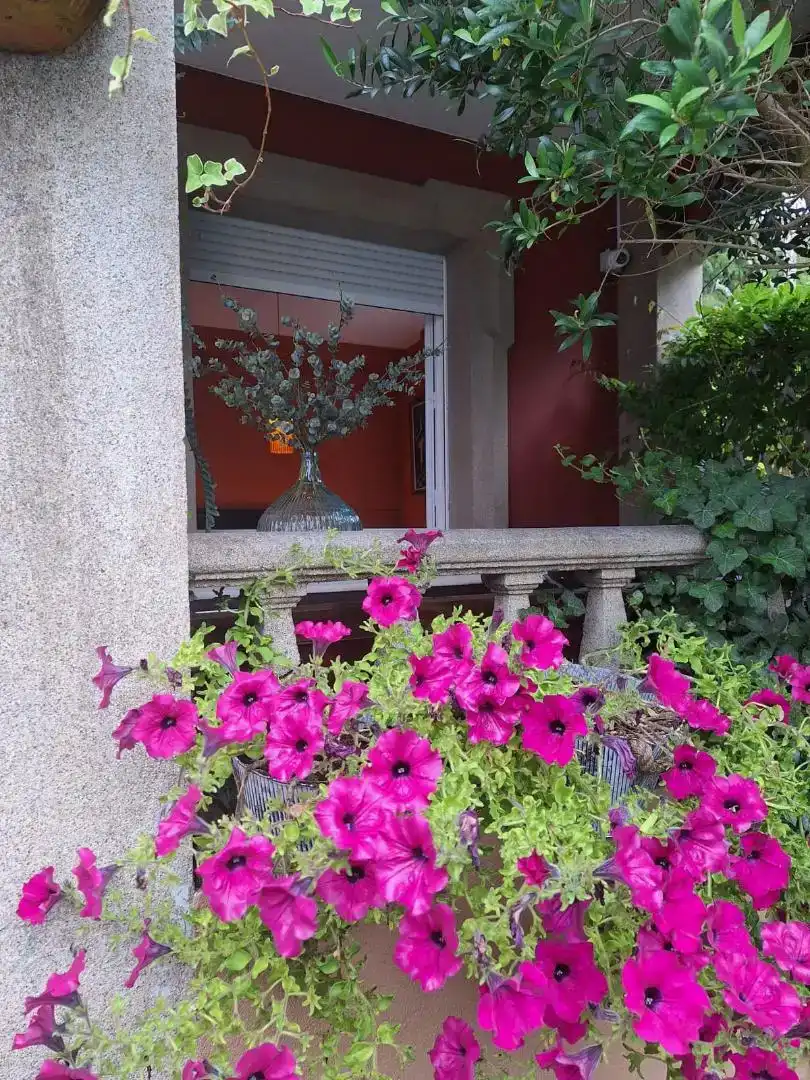 Terrassa de Casa o xalet en venda en Vilagarcía de Arousa amb Piscina i Balcó