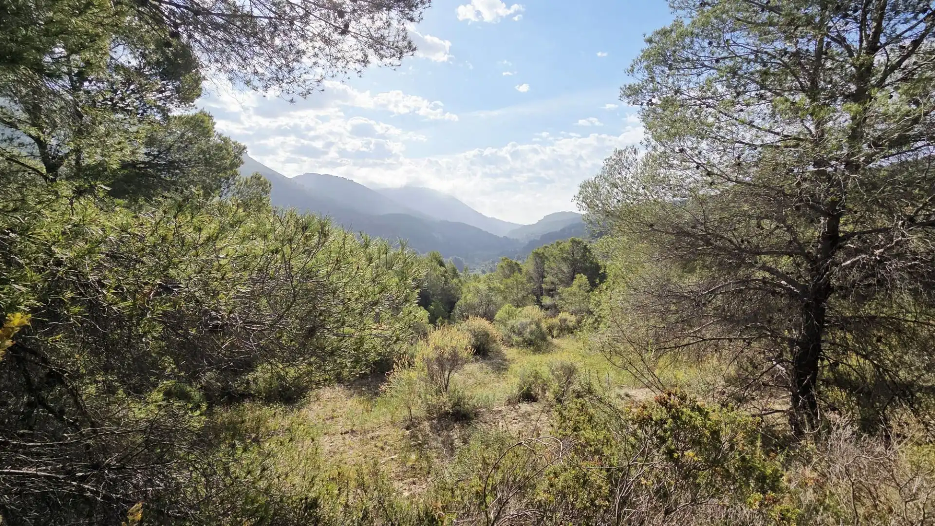 Grundstücke und Bauplätze zum Verkauf in El Castell de Guadalest, imagen 12