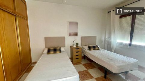 Foto 3 de Habitació a Albufereta, Alicante / Alacant