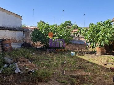 Terreni e lotti in vendita a Valdepeñas