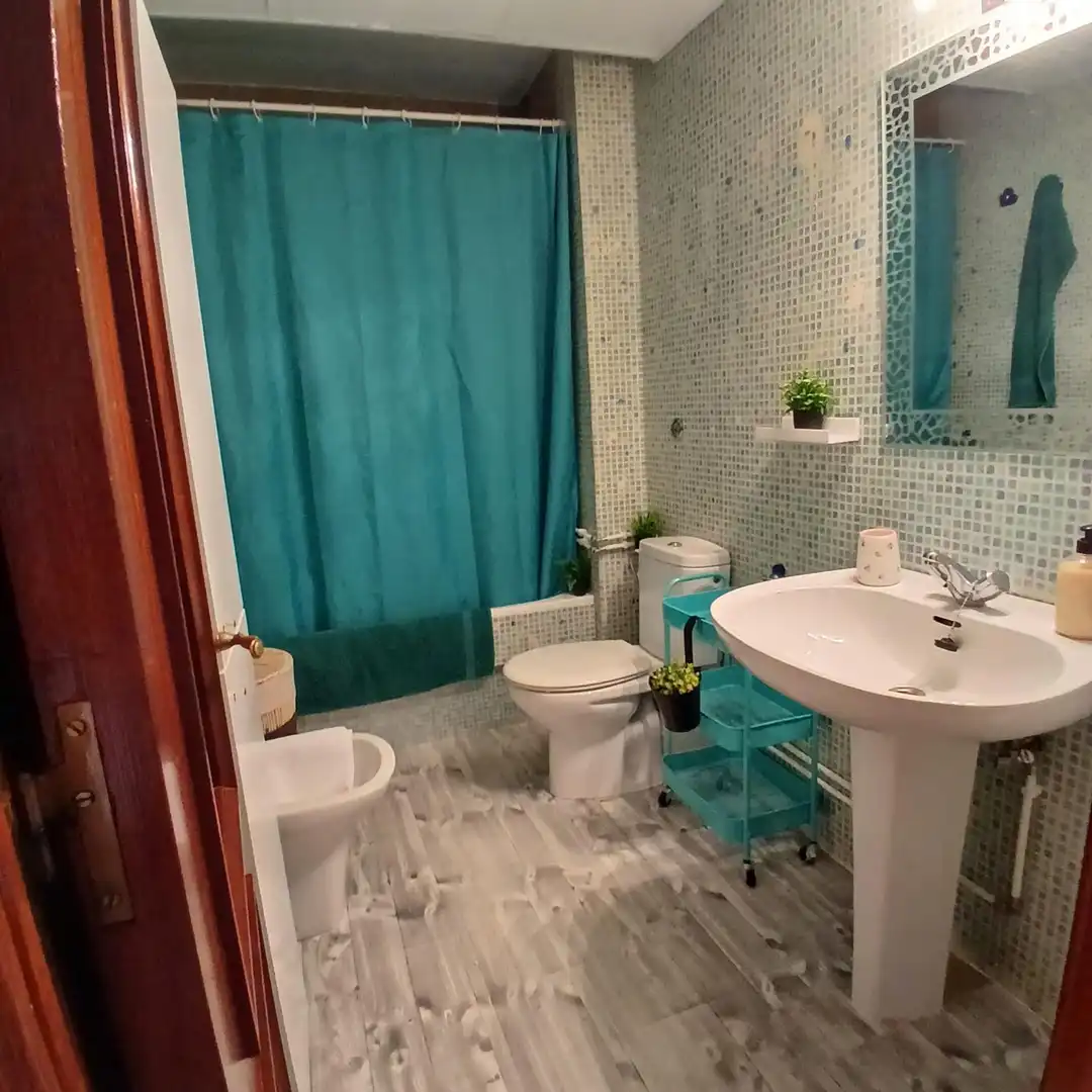 Bathroom of Flat for rent in Plasencia  with Furnished, Oven and Washing machine