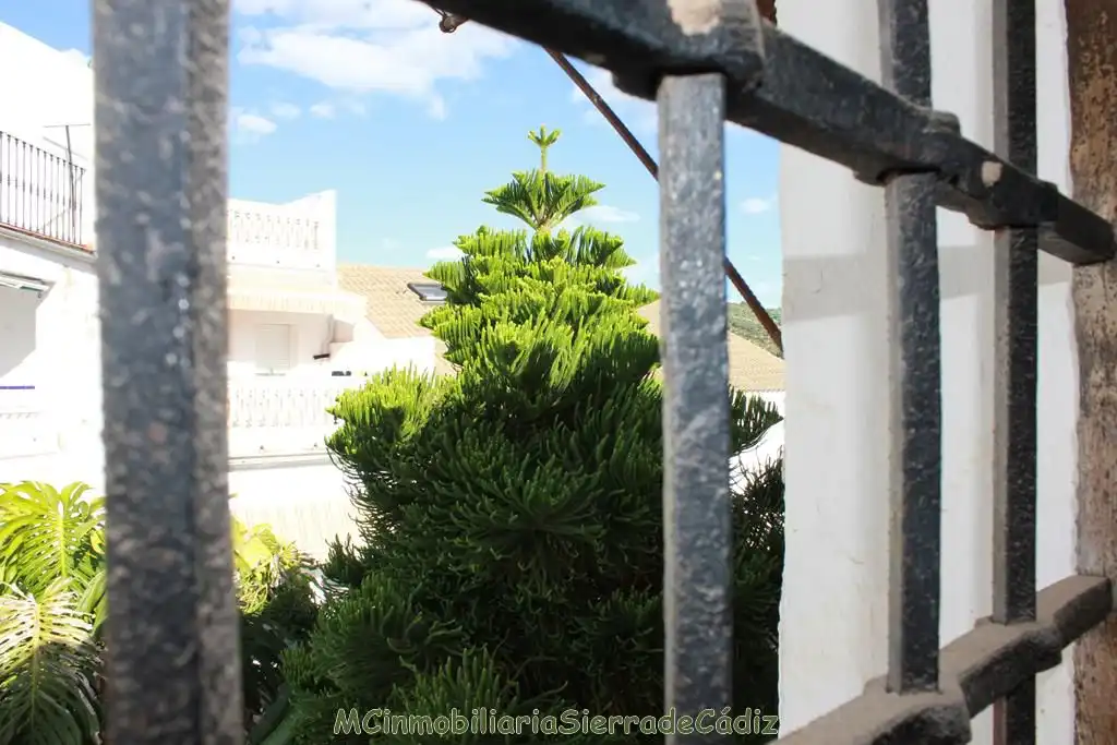 Haus mit Garten zum Verkauf in Constitución, imagen 41
