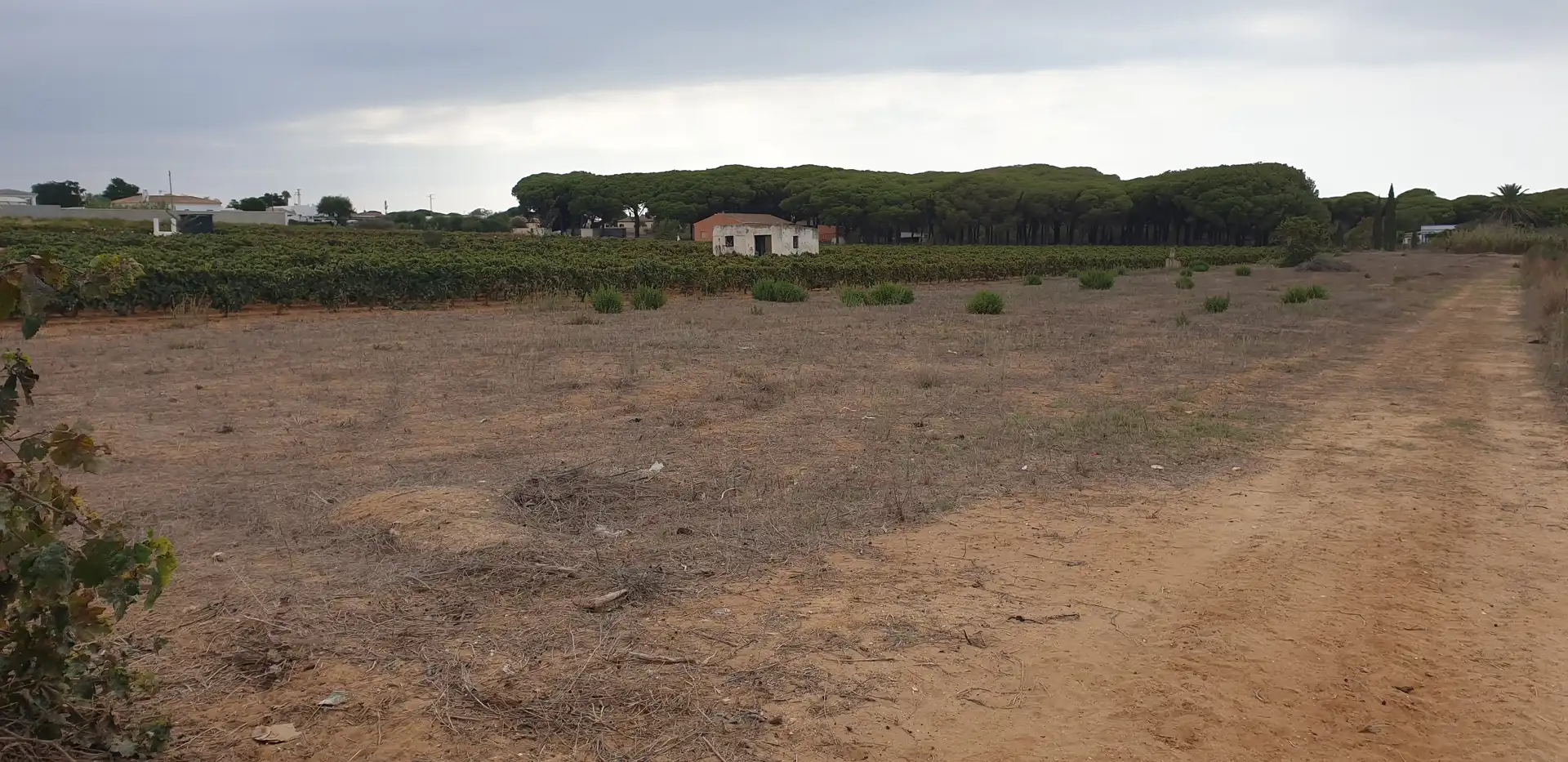 Terrenys i solars en venda a Las Lagunas - Campano, imagen 4