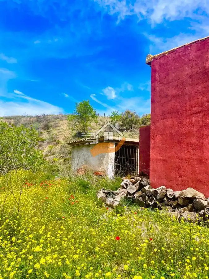 Casa rústica en venta en Vélez-Rubio, imagen 9