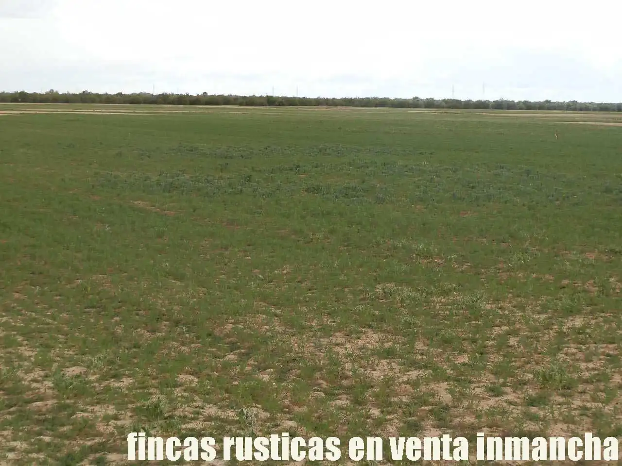 Terreny rústic en venda a Alcázar de San Juan, imagen 6