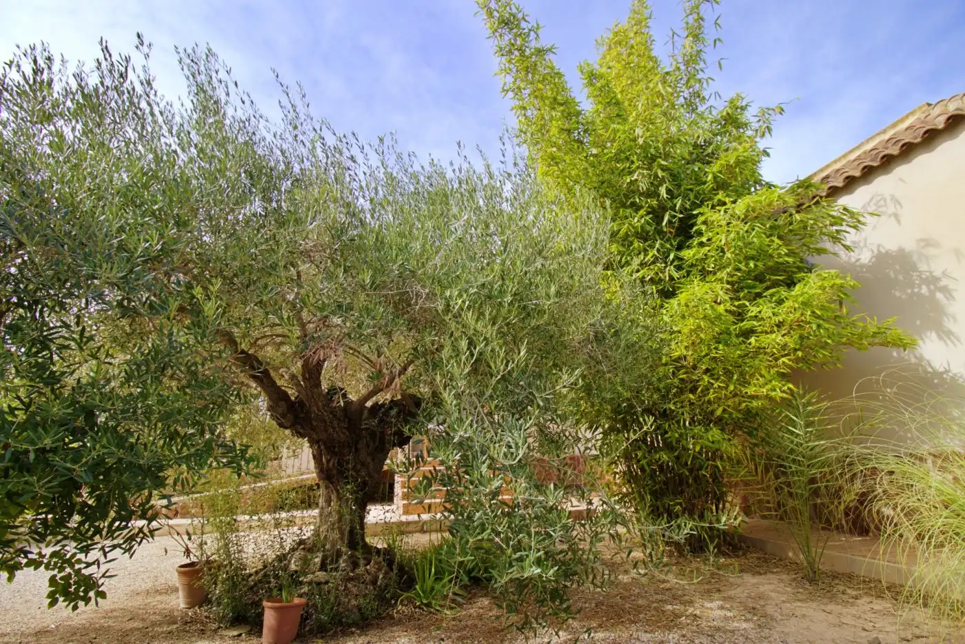 Villa con piscina in vendita a Valverde, imagen 79