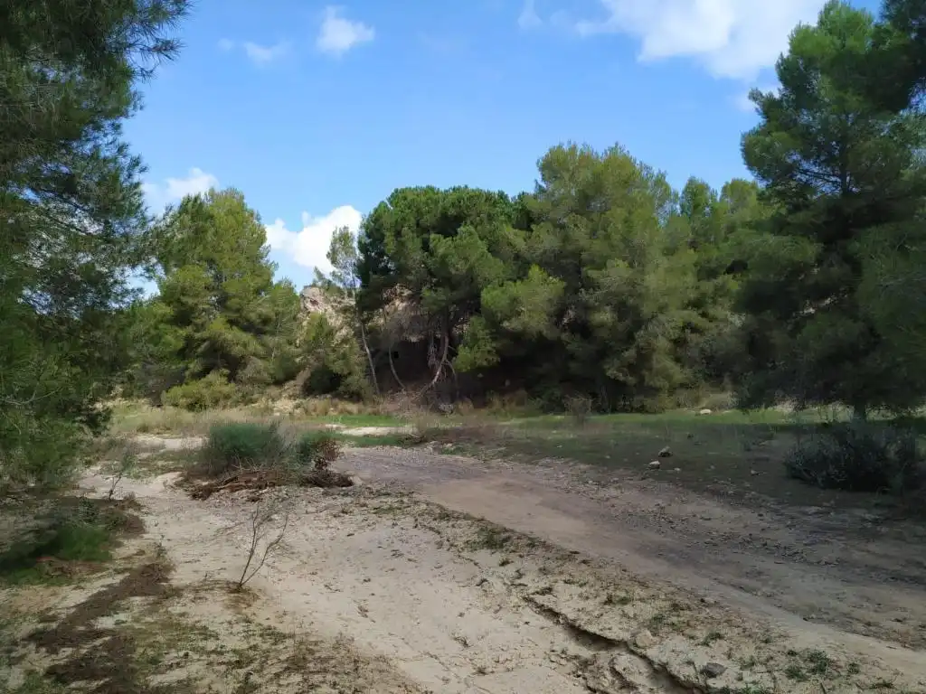 Terreny rústic en venda a SANGONERA LA VERDE, imagen 4