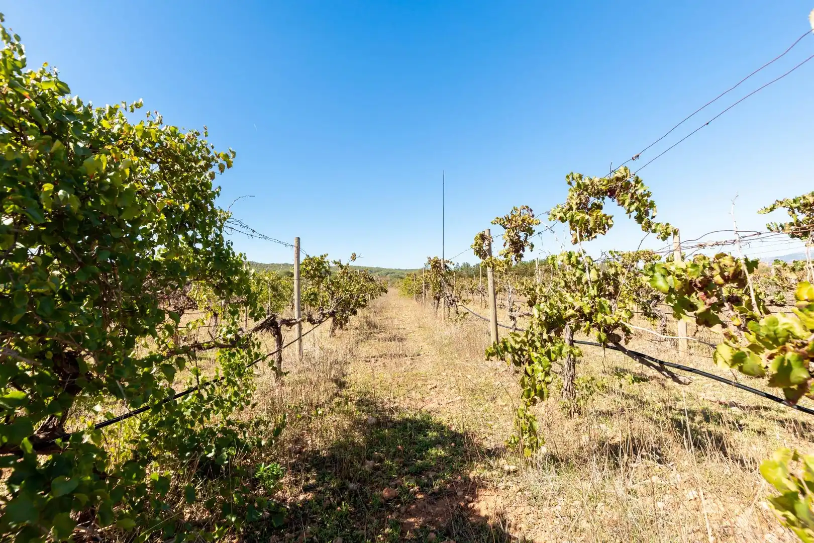 Terreno rustico in vendita a Camino POLIGONO 5, imagen 16