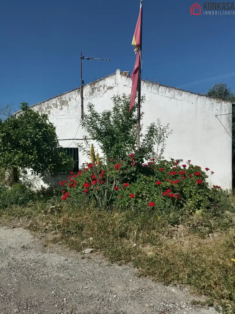 Casa rústica en venda a Arcos de la Frontera, imagen 7