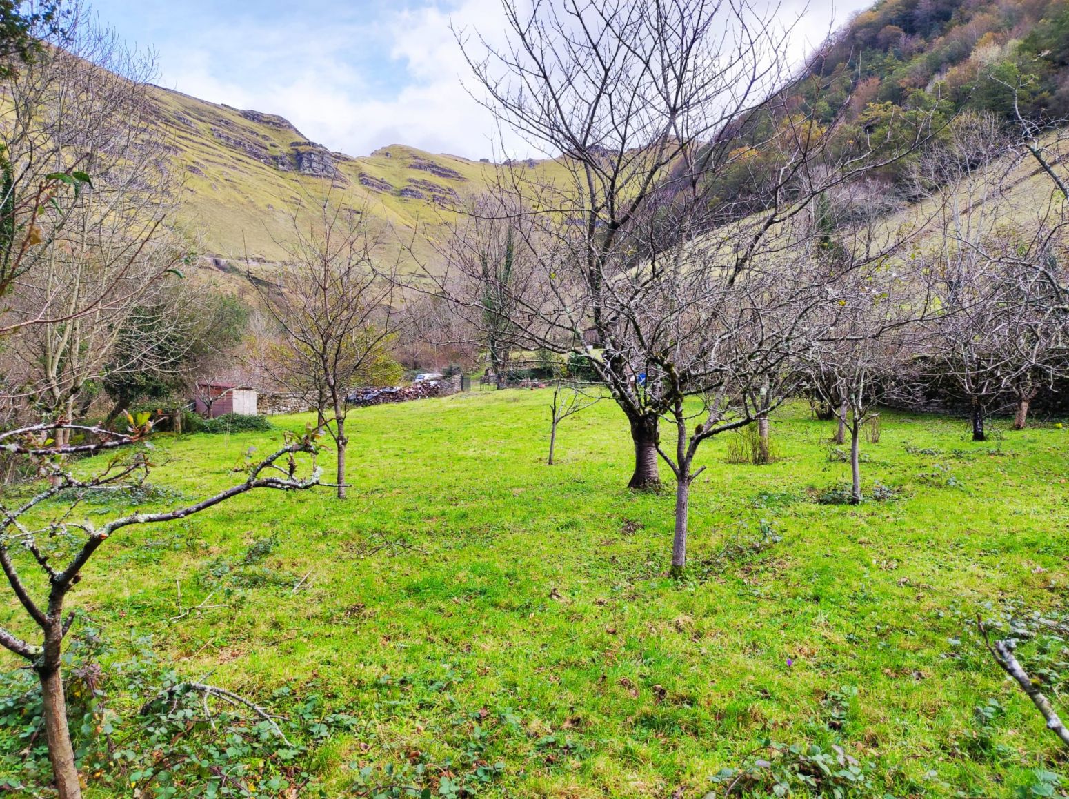 Casa o chalet en venta en Vega de Pas con Jardín privado y Terraza