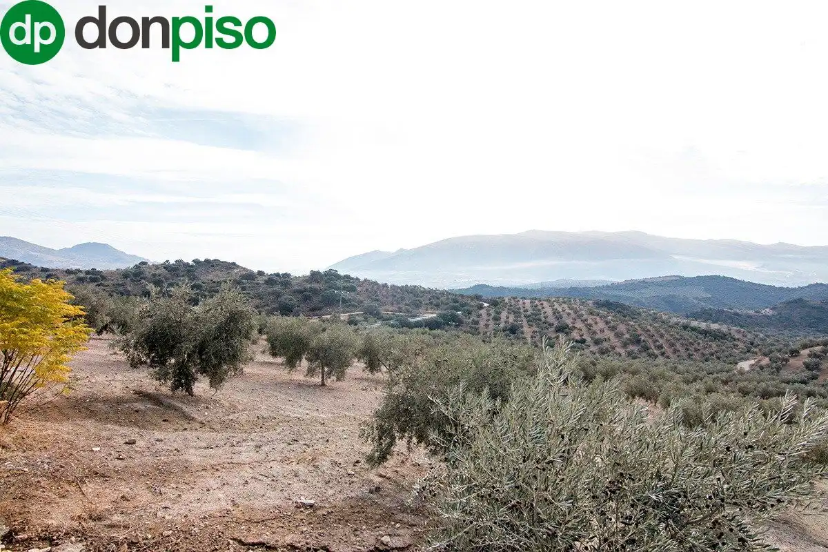 Casa rústica en venda a CORTIJO LA BARRAGANA, imagen 13