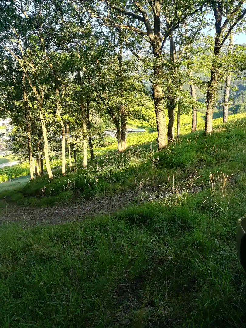 Terreno en venta en Jaitzubia Auzoa, 69, Hondarribia