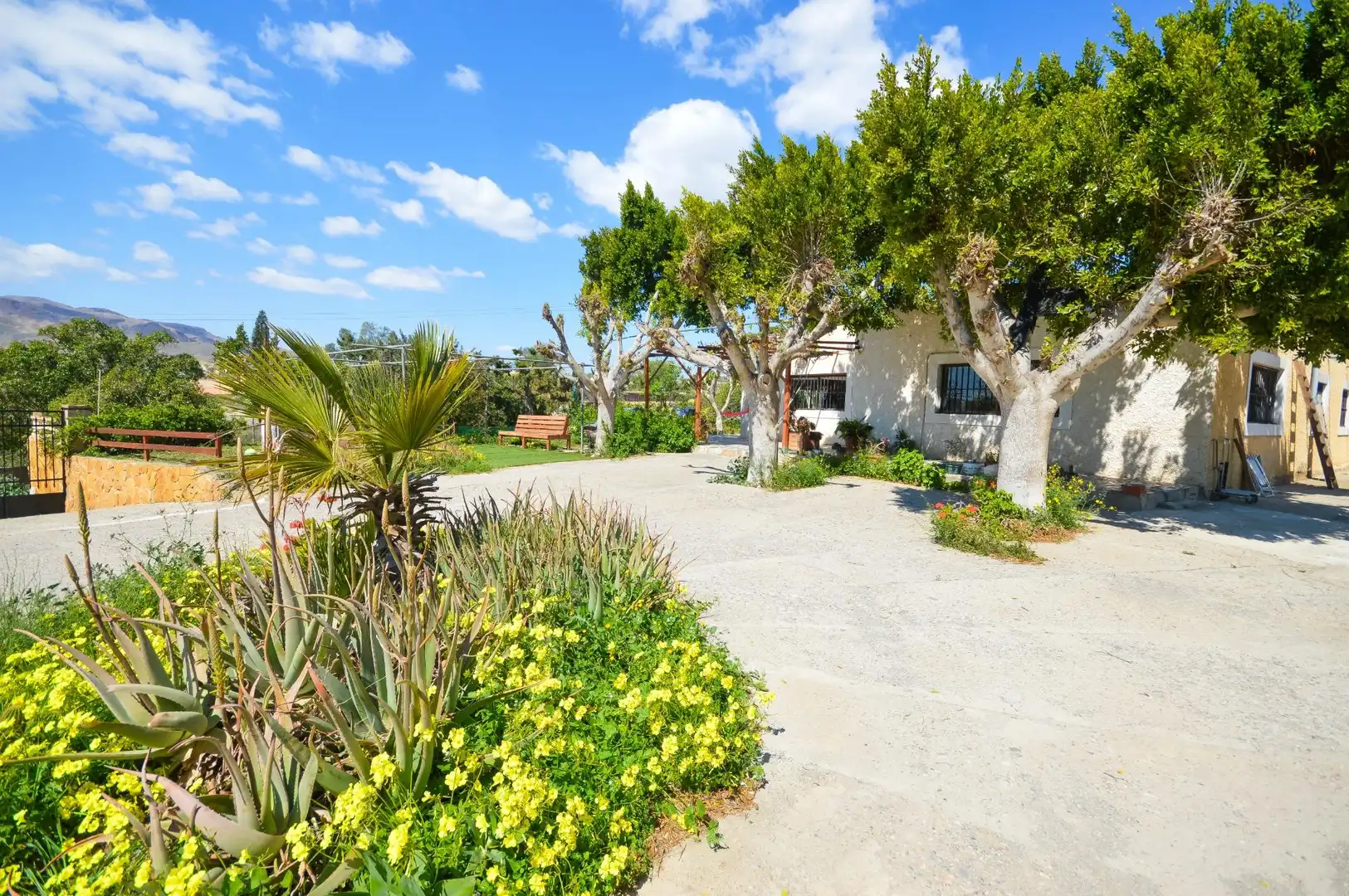 Jardí de Finca rústica en venda en Pechina amb Aire condicionat, Jardí privat i Terrassa