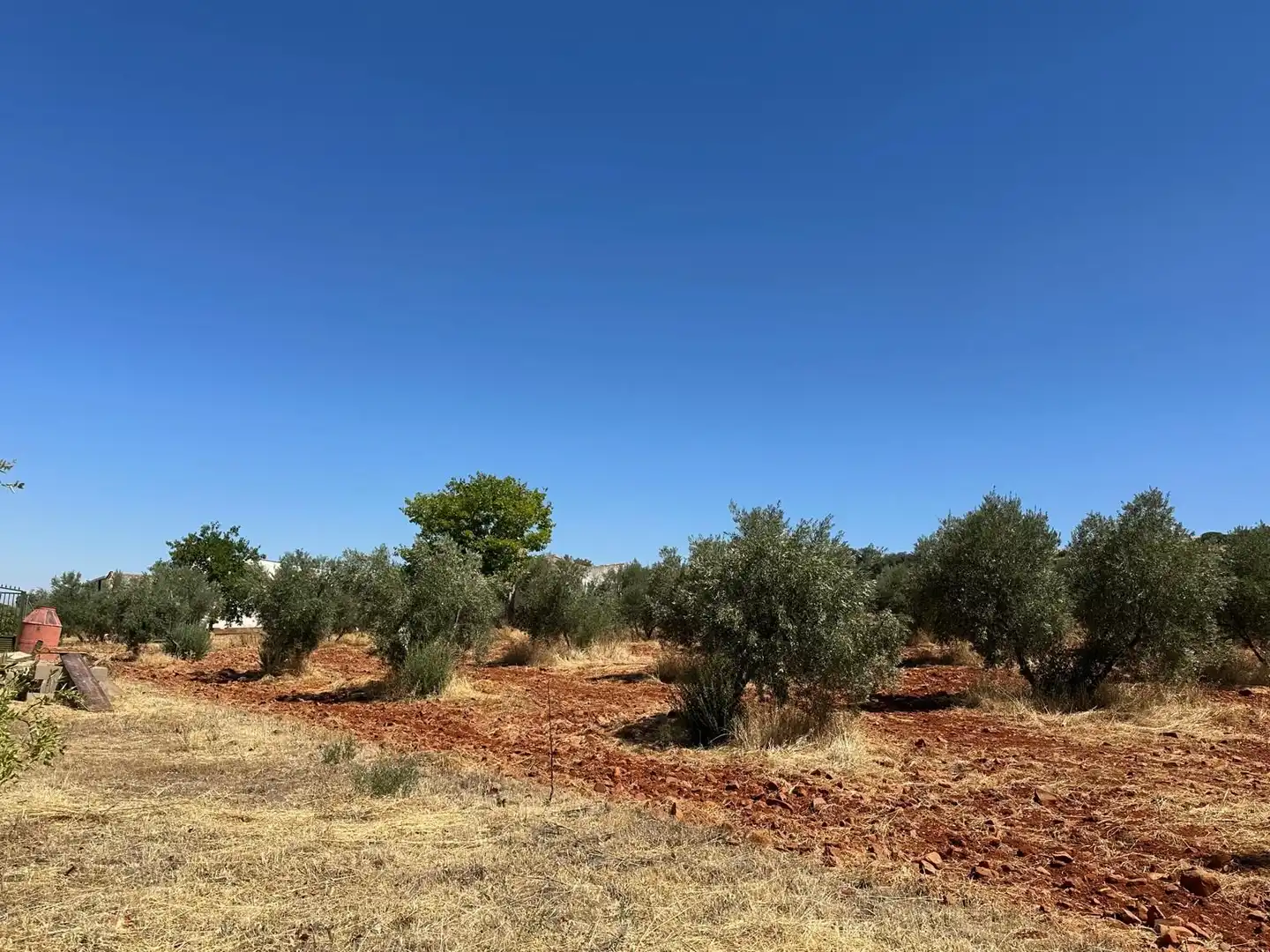 Rural land for sale in Carretera Valdepeñas-Ciudad Real, imagen 46