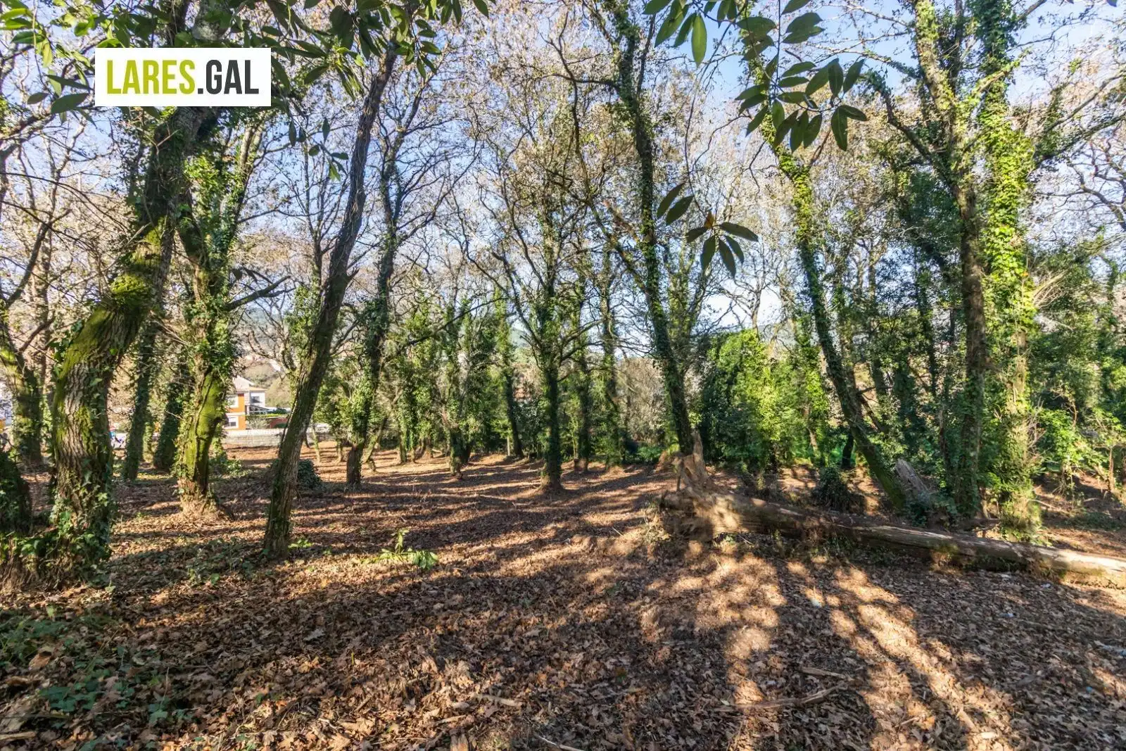Lands and plots for sale in Rúa Ximeu, imagen 15