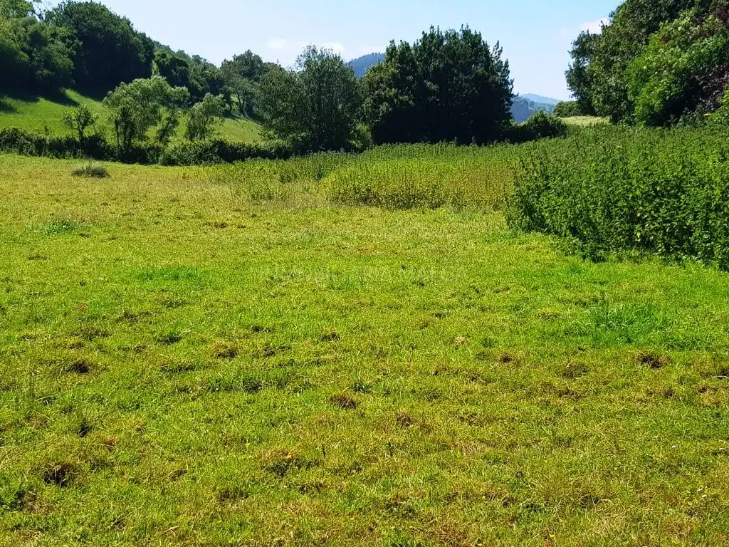 Residencial en venda en Villaviciosa