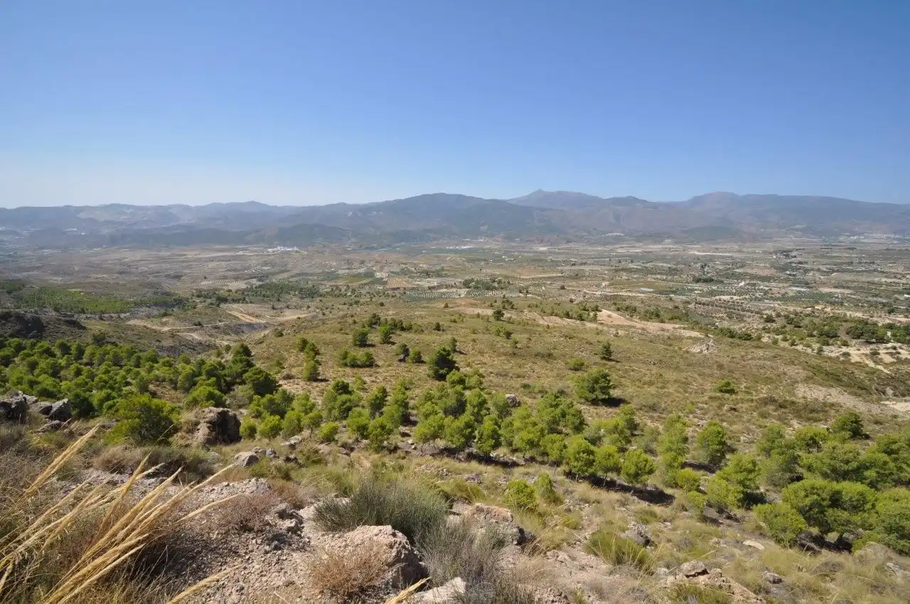 Grundstücke zum Verkauf in Urrácal