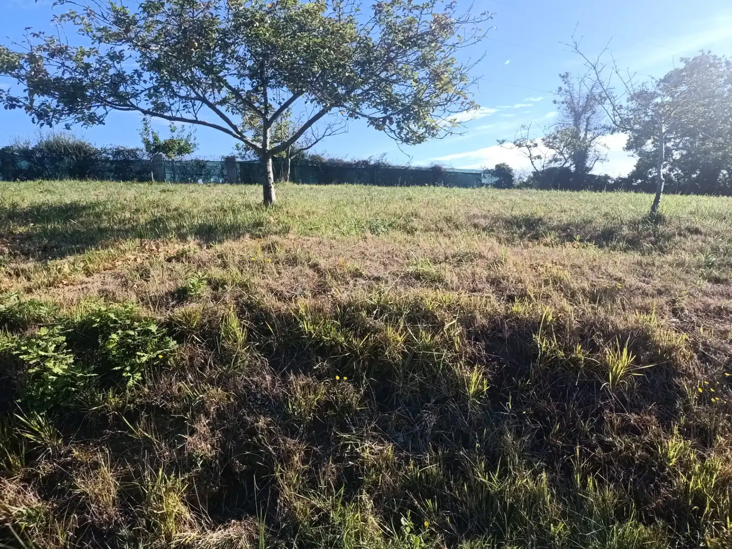 Terrain rustique à vendre à Barrio Cenero Urbano 10A, imagen 2