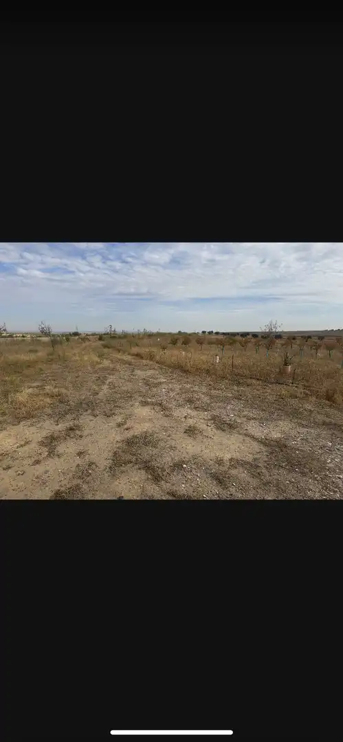 Terreno en venta en Bargas