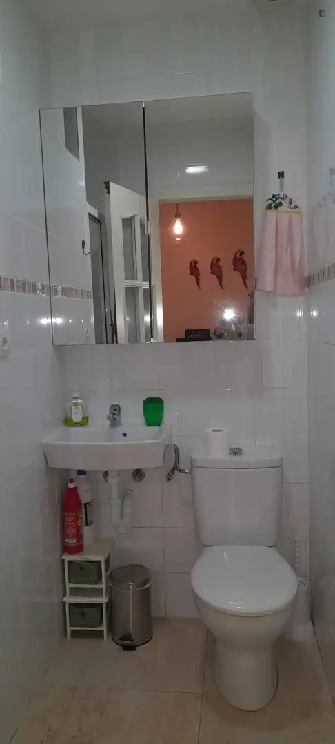 Zimmer in Tiro de Línea