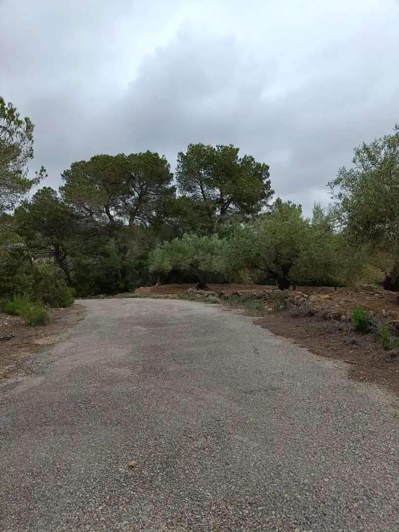 Residencial en venda a El Perelló
