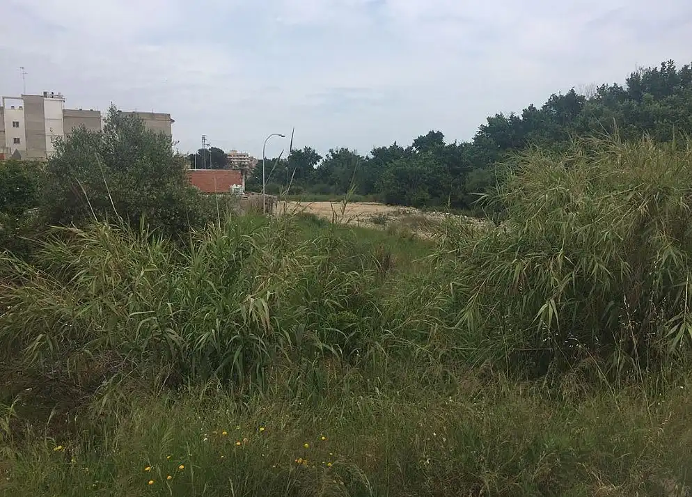 Terreno rústico en venta en CL Barranc Esquina Avenida del Sur                              parcela D Nº S/N, imagen 6