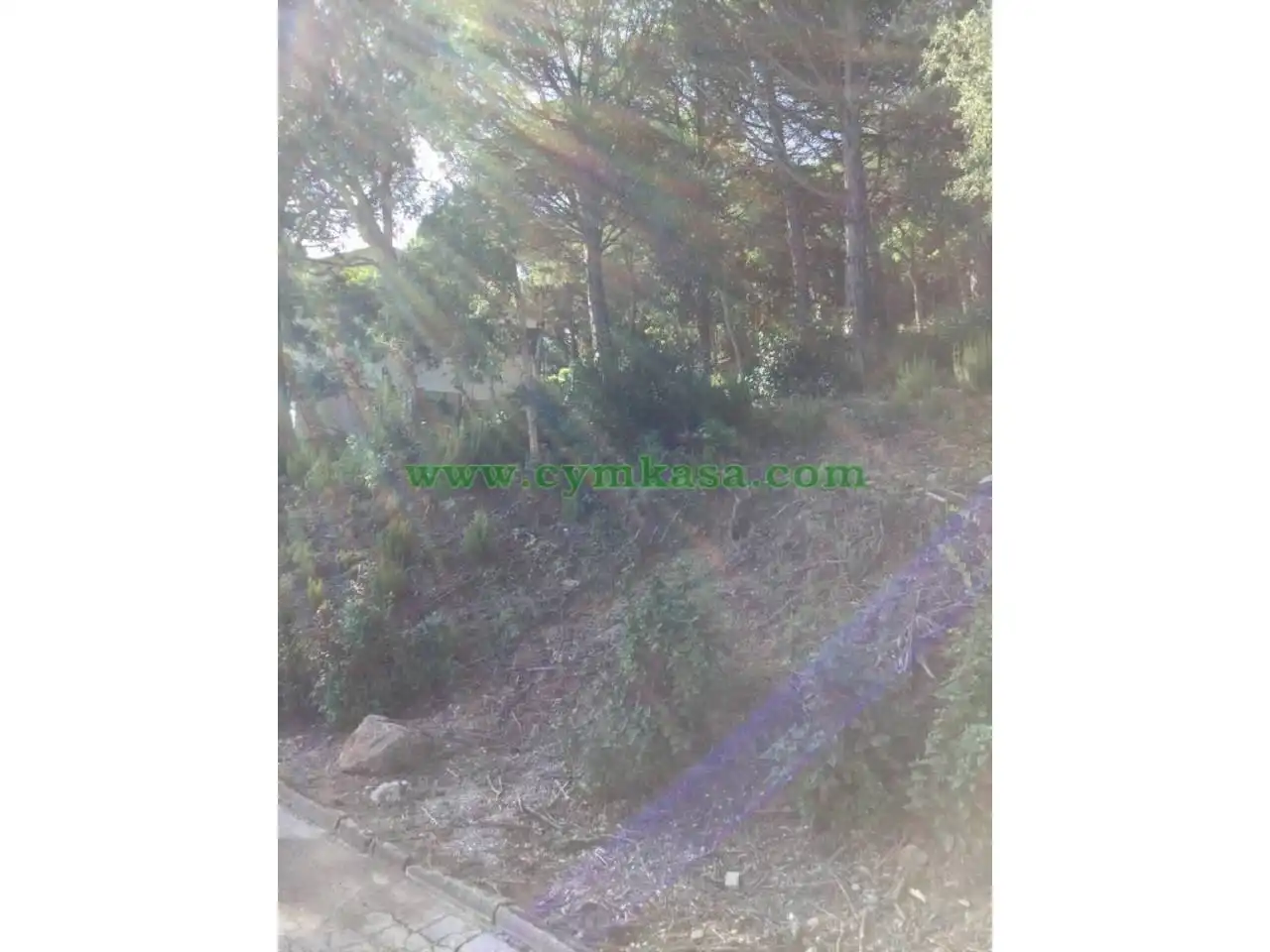 Terreny rústic en venda a Lloret Verd - Els Pinars, imagen 5