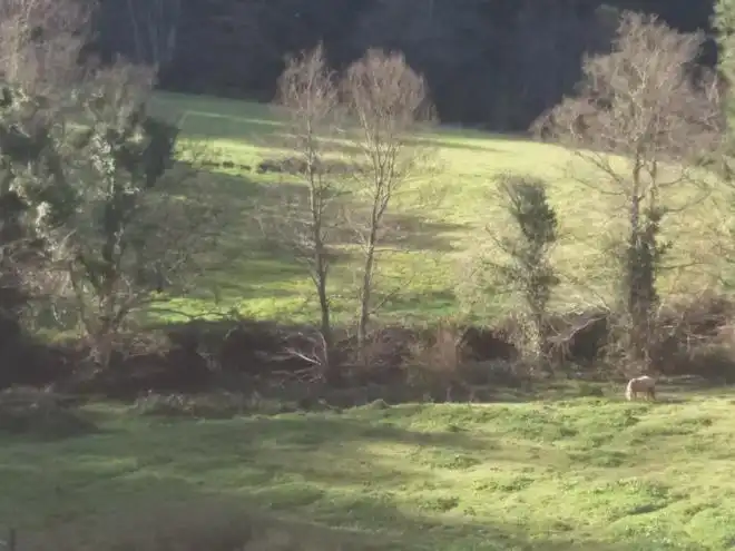 Casa o xalet en venda en Cudillero amb Moblat